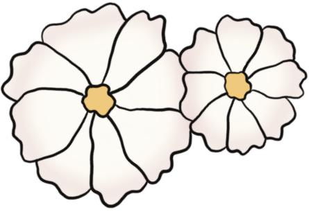 Flower Image